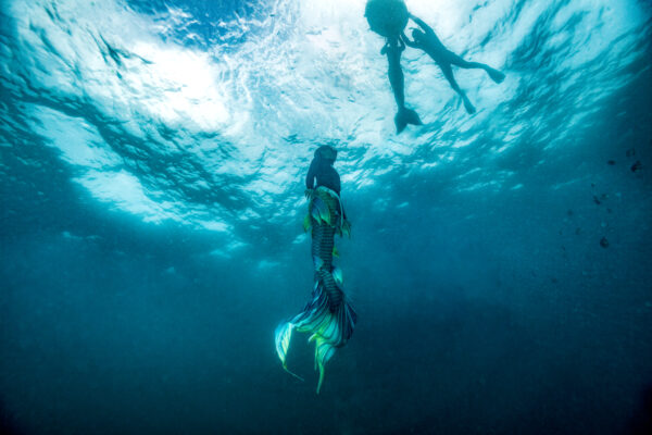 2. PADI Advanced Mermaid - Image 6