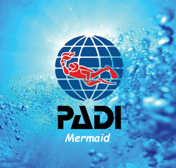 1. PADI Mermaid